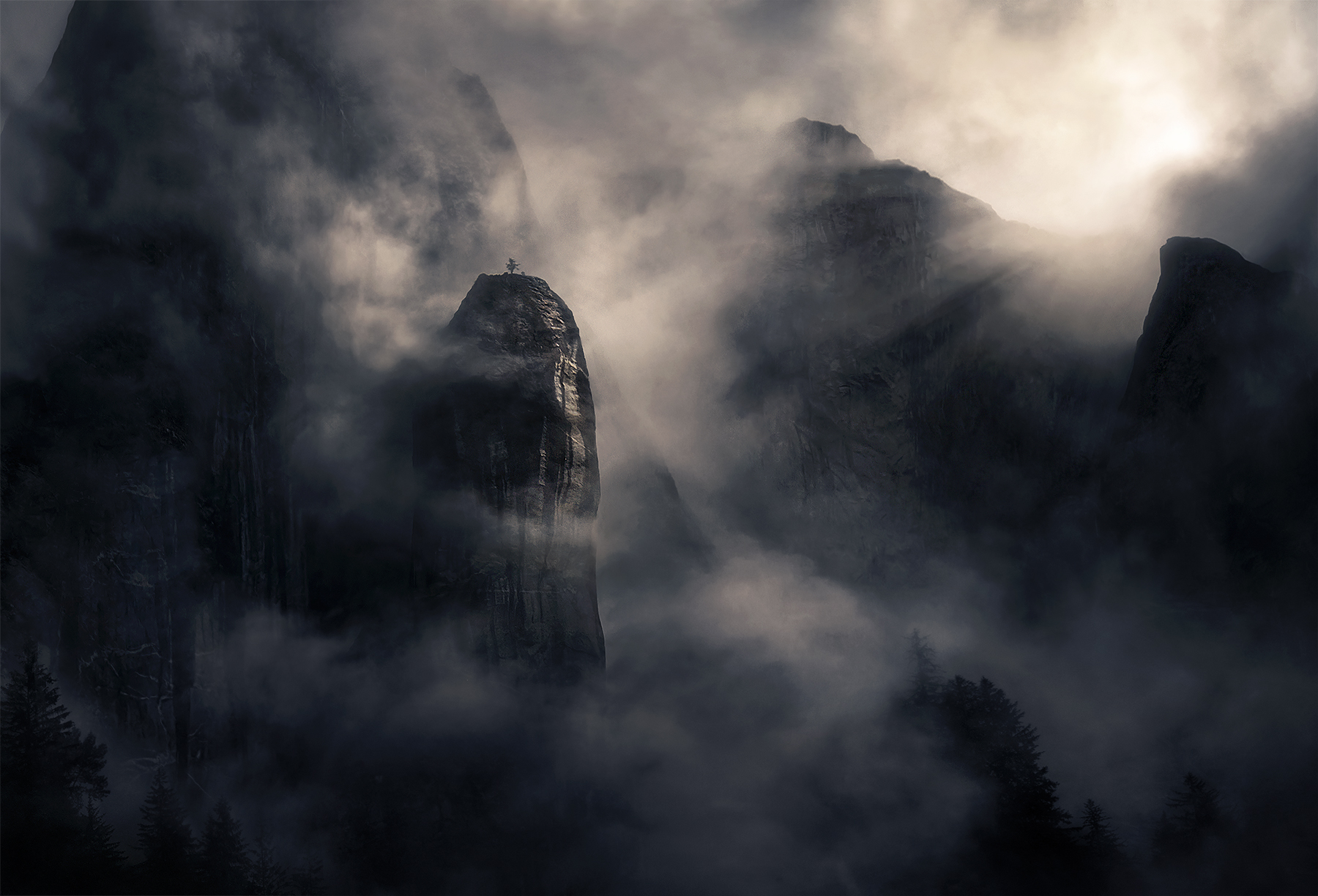 A rare clearing in the perpetual mists of a future rainforest, Alaska. &nbsp; The small tree atop the rock only appeared for...