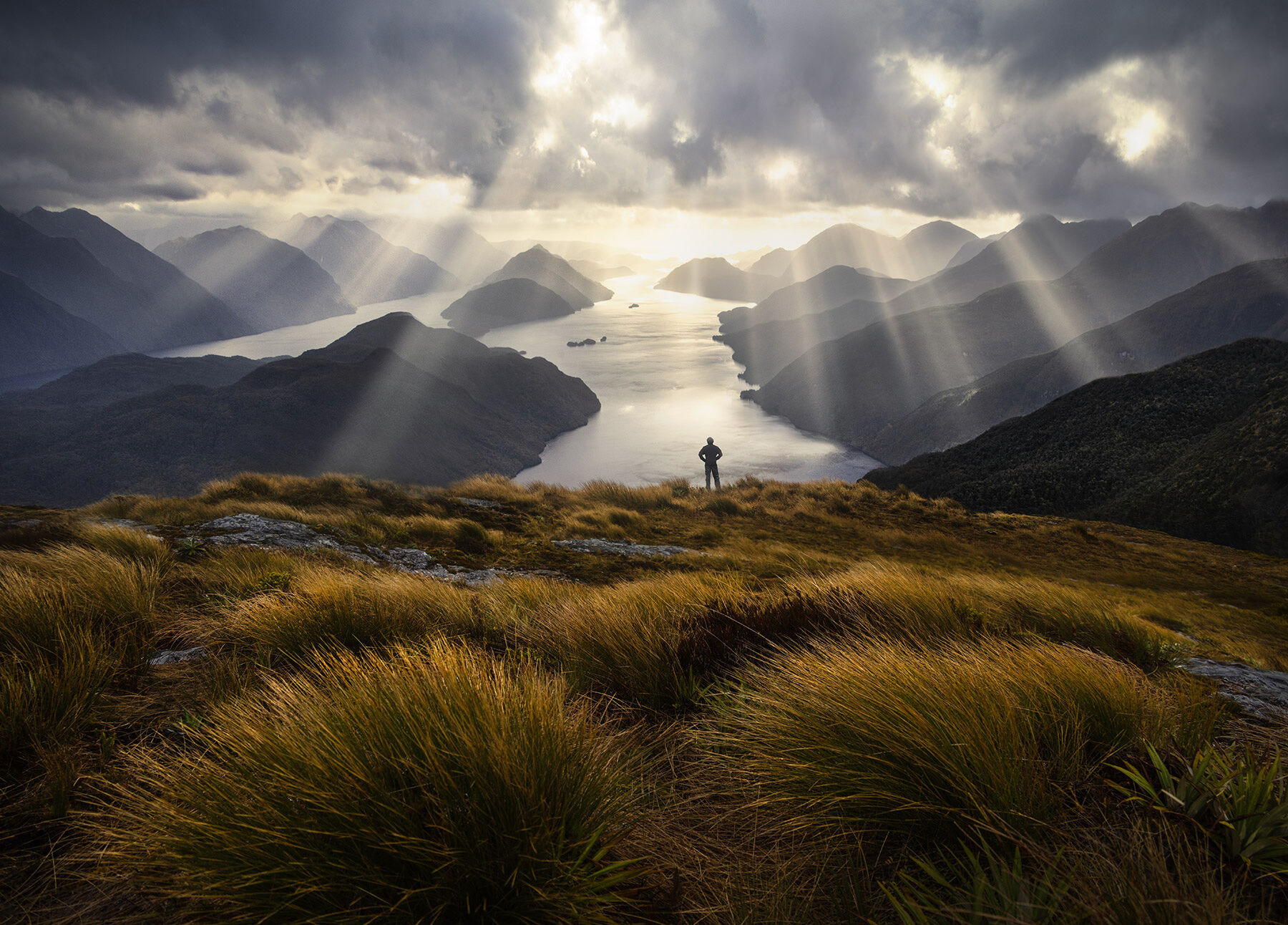 The Red Tussock grasses and beams raining down from above, two things I love about New Zealand shown from this helicopter stop...