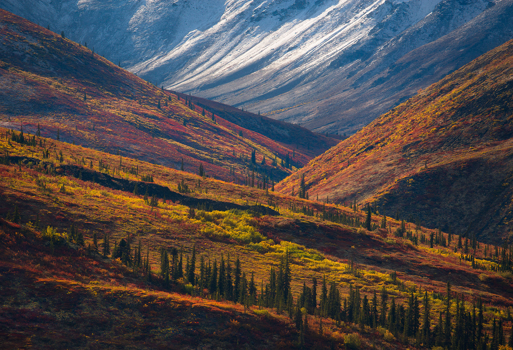 An array of fall colors on display in this mixing of the seasons portrait of the Yukon high country, taken near the Arctic Circle...