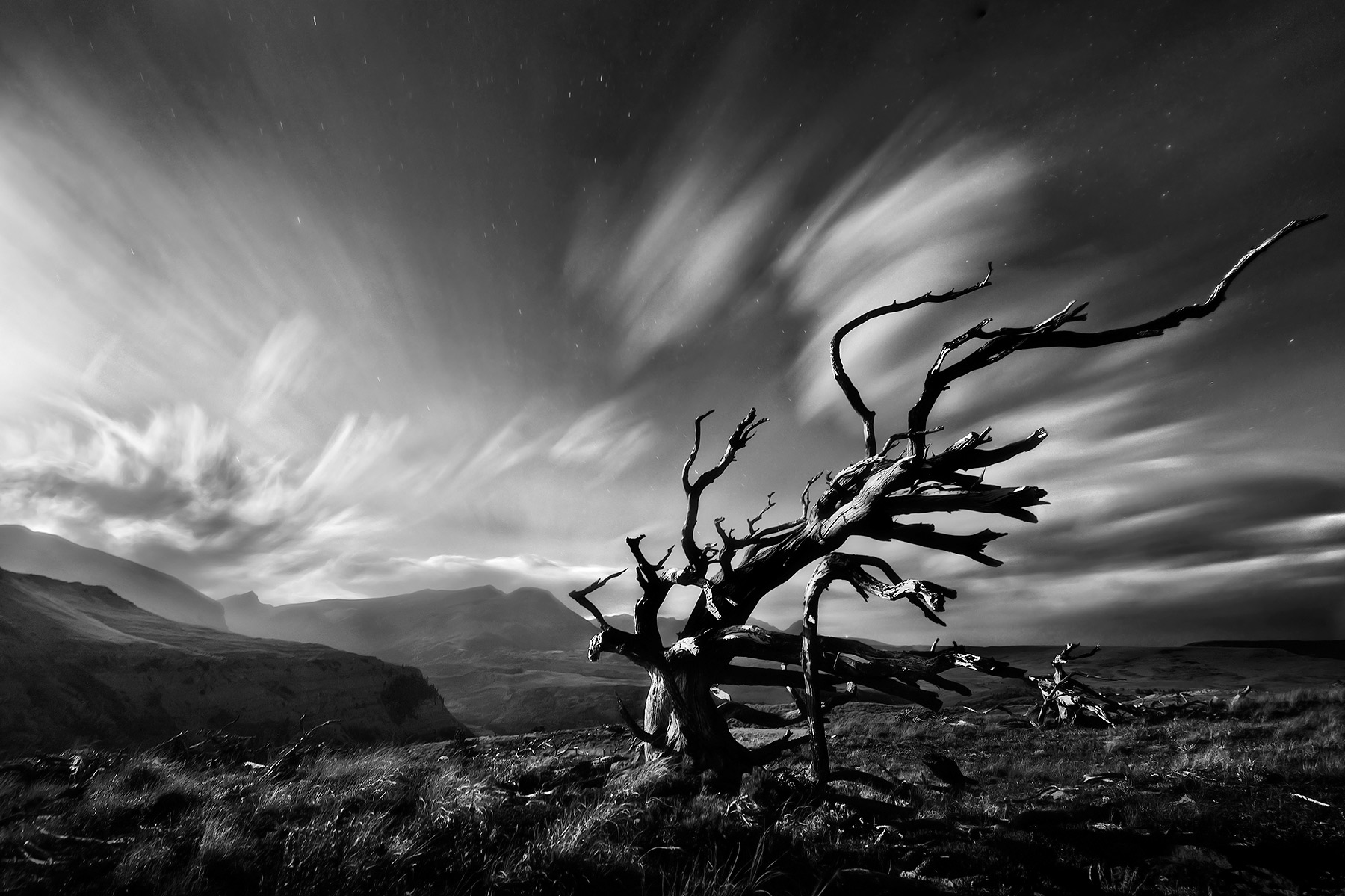 A black and white rendition of an ancient tree under moonlight using a long exposure to streak the skies across Blackfoot Land...