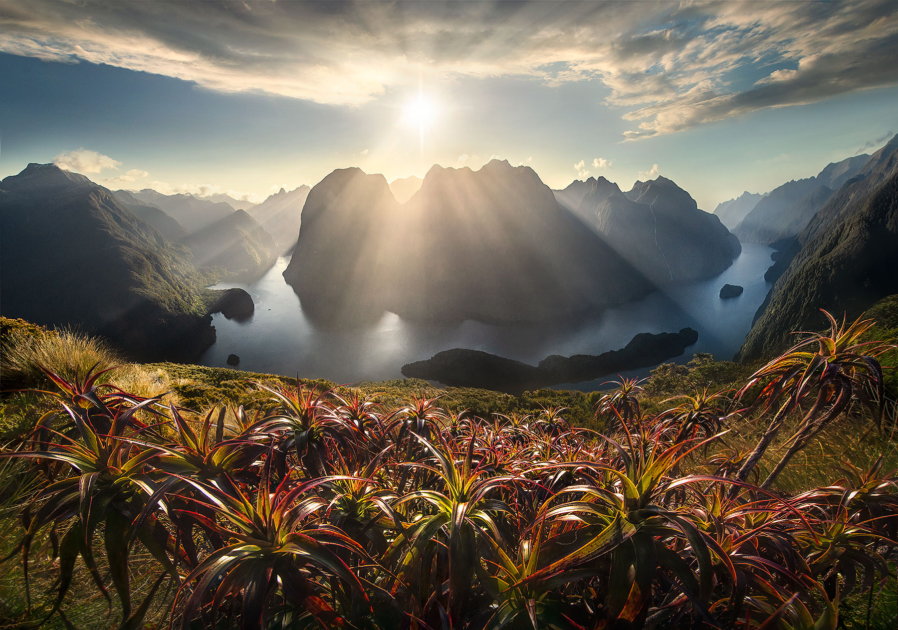An amazing ridgeline overlooking one of the many deep fiords at Sunset on New Zealand's Southwest Coast.&nbsp;
