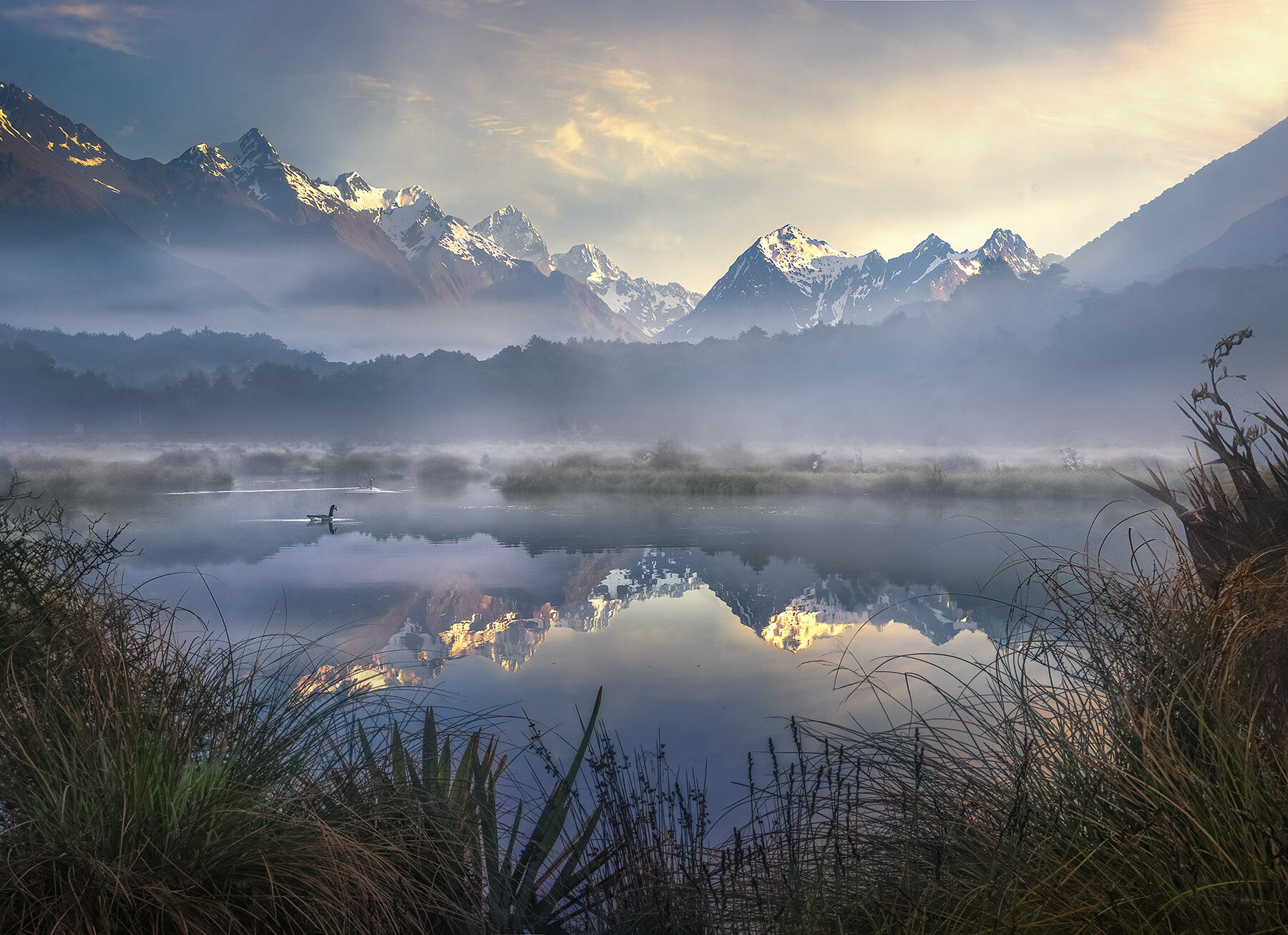 A quiet morning wading waist deep in the swamp led me to this overlook in Fiordland